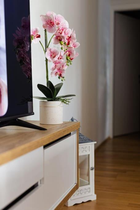 Apartman Lux Self Check-In วิโรวิติซา ภายนอก รูปภาพ